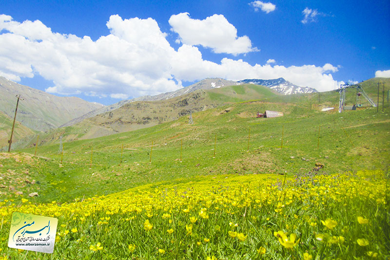 تور یک و نیم روزه ( یک شب با اقامت هتل دیزین)
